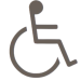 handicap-removebg-preview